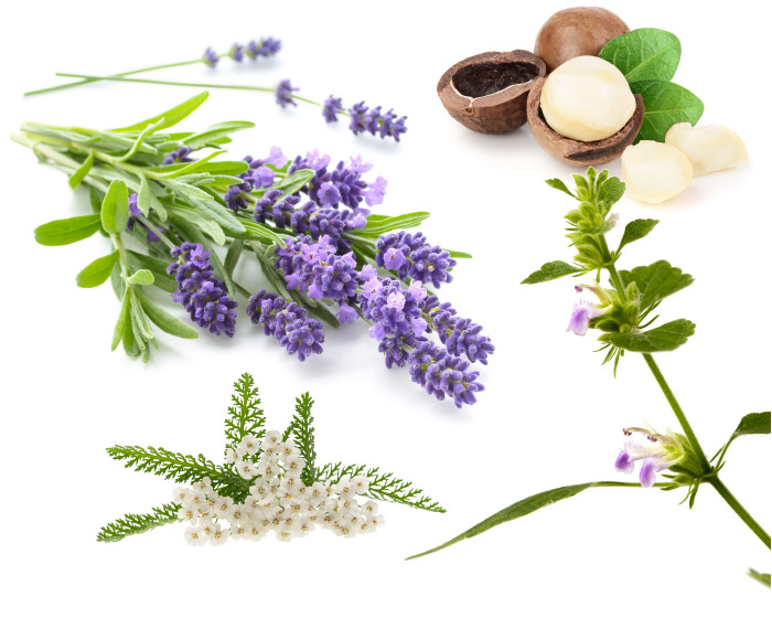 Lavande, Huile de noix de macadamia, Huile de nard, Huile d‘achillée