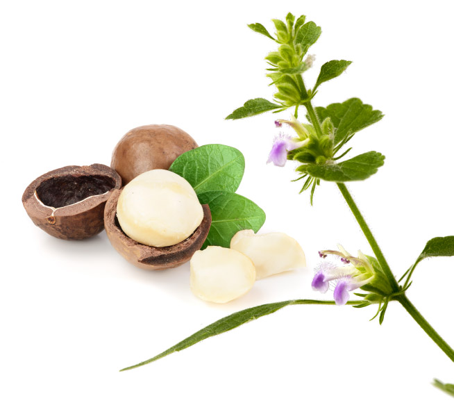 Huile de nard, Huile de noix de macadamia