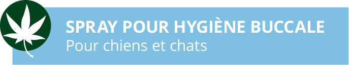 SPRAY POUR HYGIÈNE BUCCALE